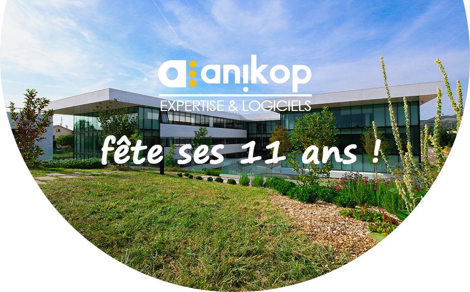 Anniversaire 11 ans Anikop